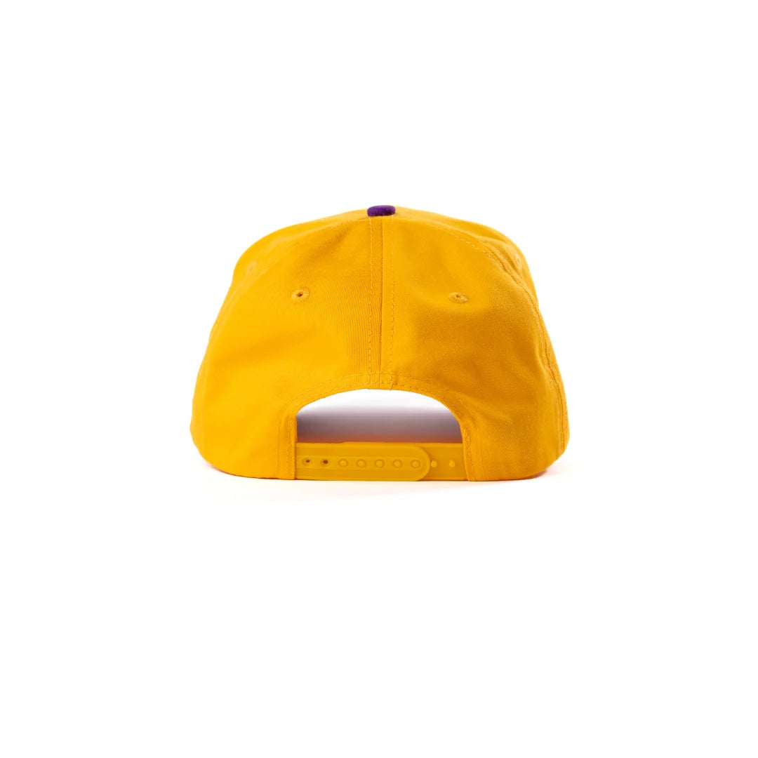 DAD Gang purple & gold