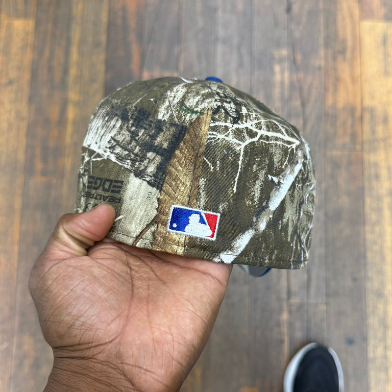 Toronto Blue Jays Real Tree And Royal Blue 40Th Anniversary