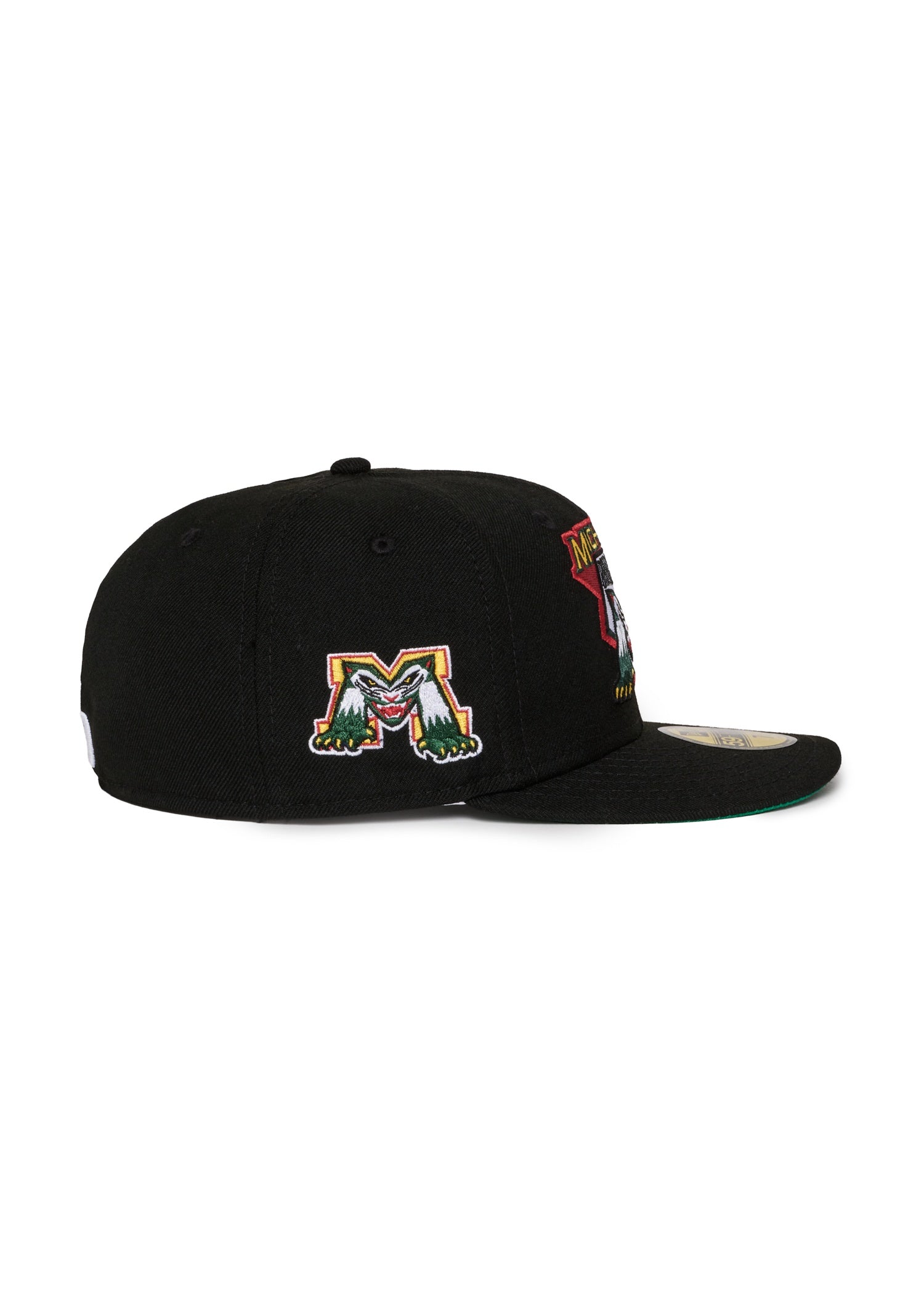 Michigan Battle Cats Black Green uv