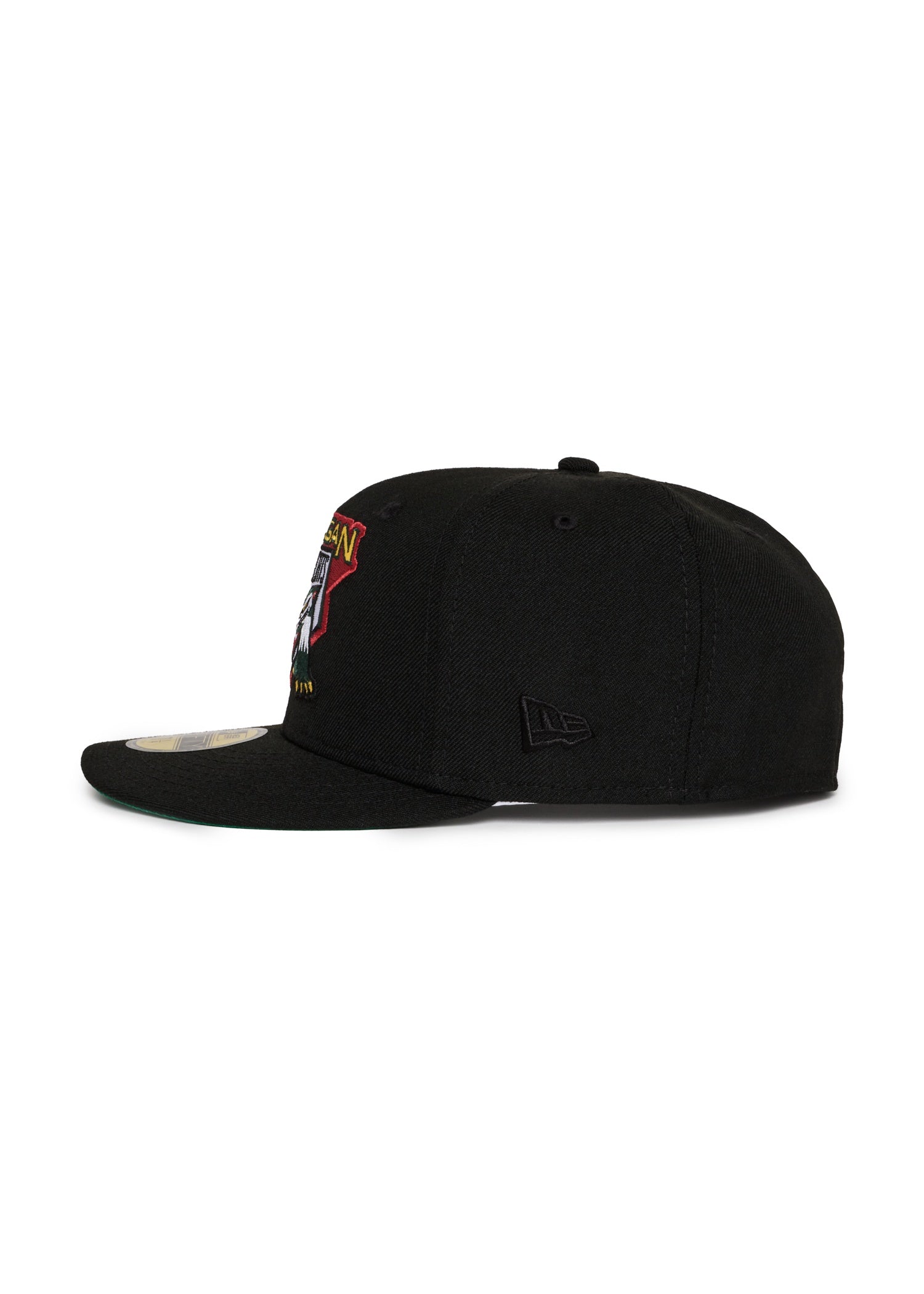 Michigan Battle Cats Black Green uv