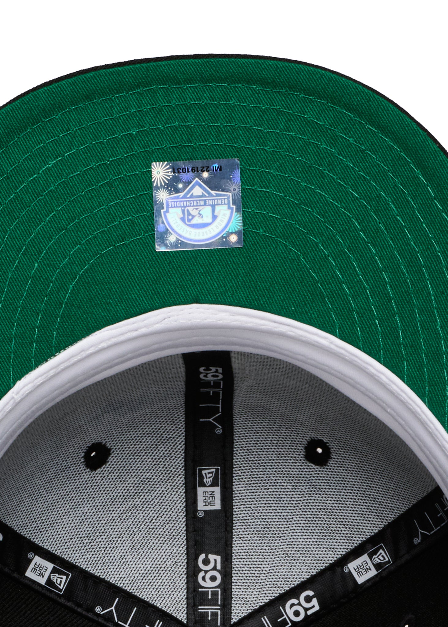 Michigan Battle Cats Black Green uv