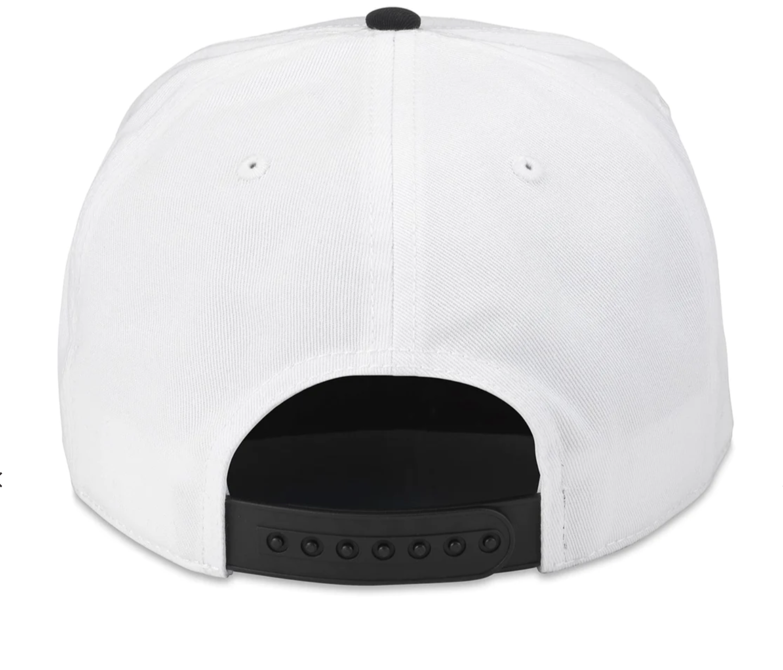Polaroid Roscoe Snap Back
