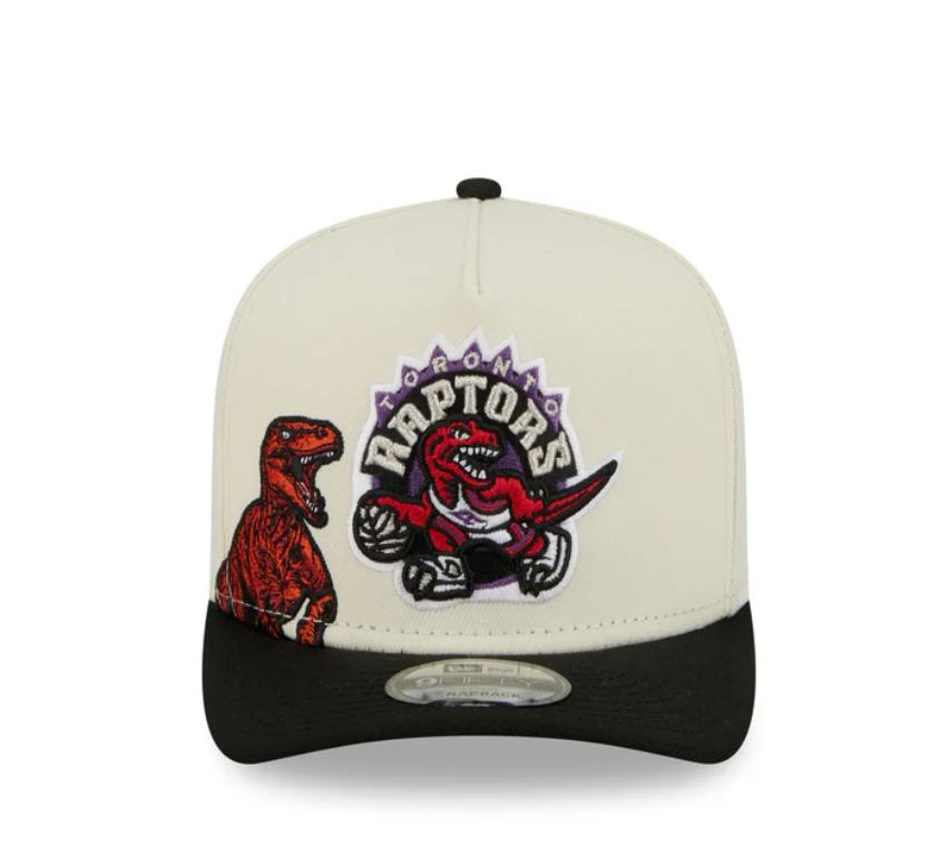 Toronto Raptors HWC Chrome White 9FIFTY A-Frame Snapback
