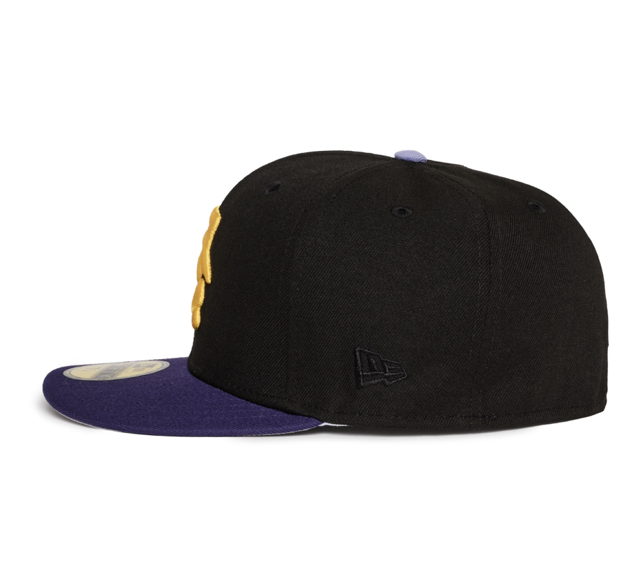 GREAT FALLS ELECTRICS Black and Purple Yellow Logo