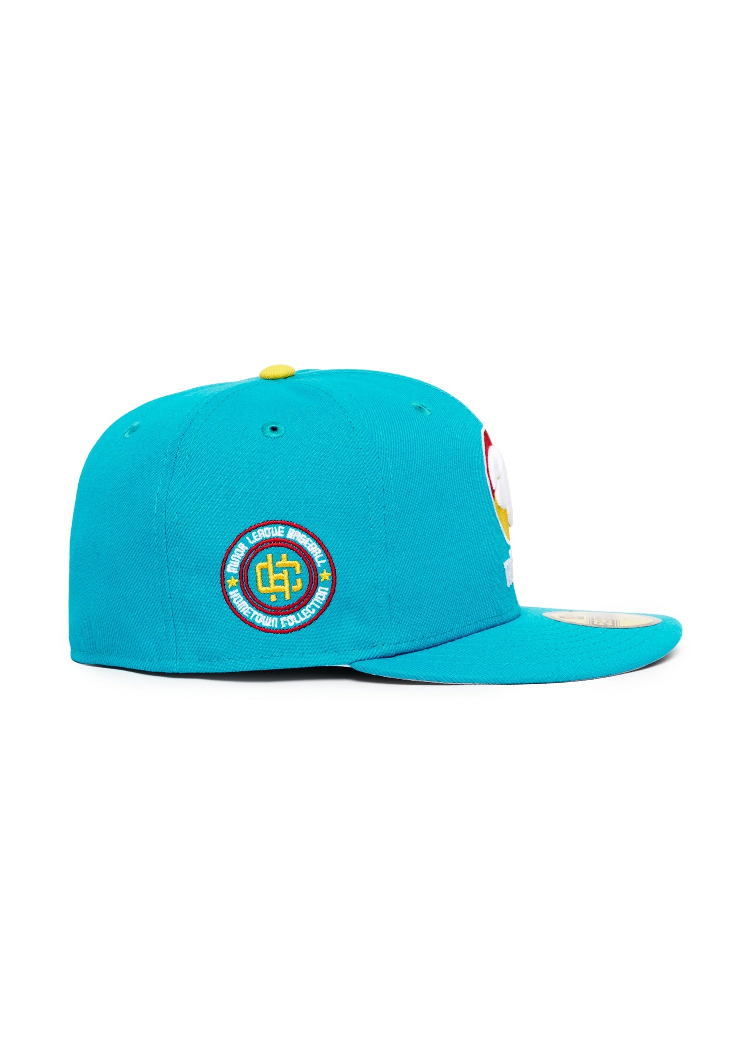 Winnipeg Whips All Turquoise MiLB