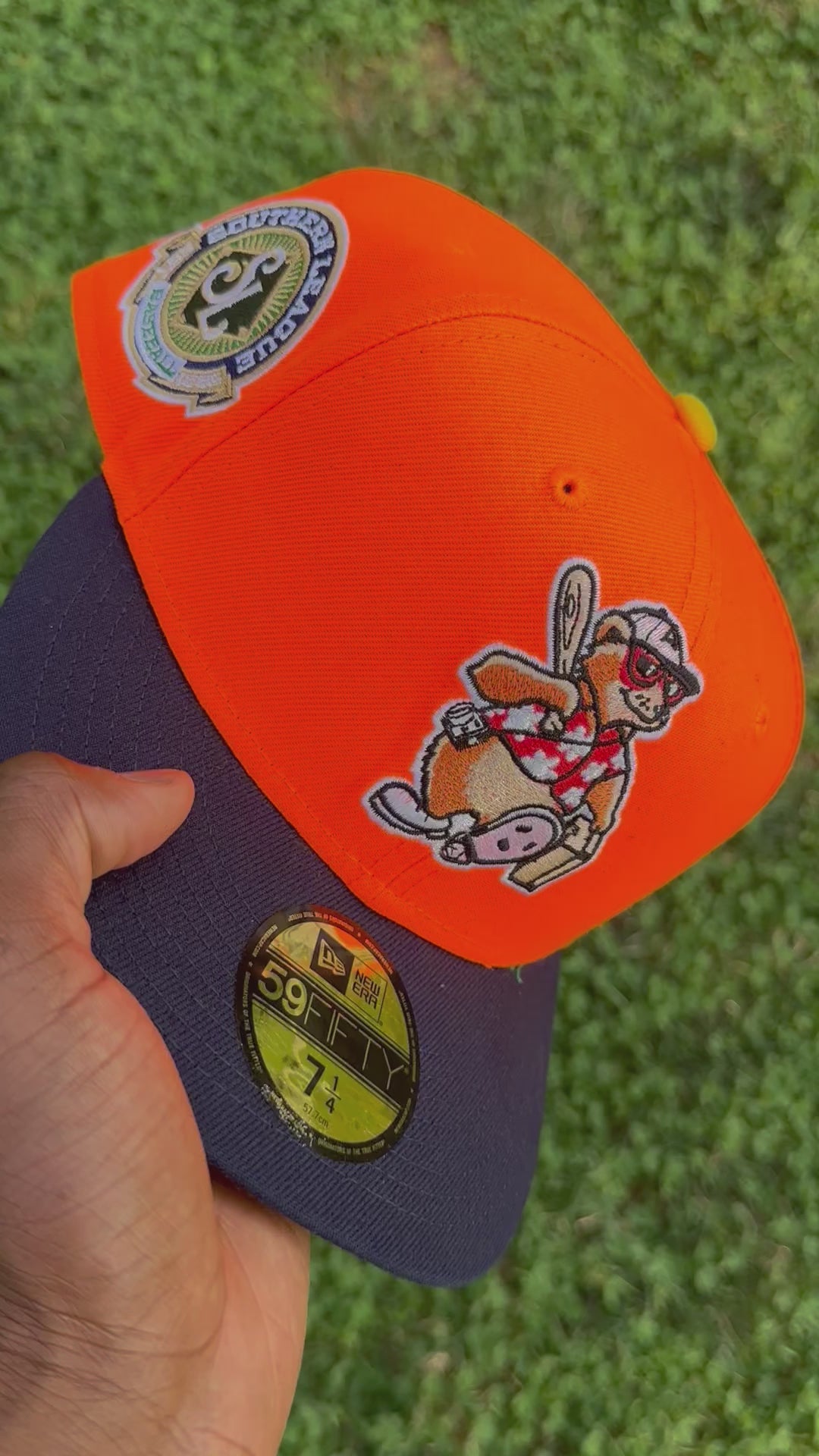 Asheville Tourists Orange & Navy Green uv